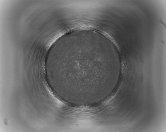 X0000099550581200805301522