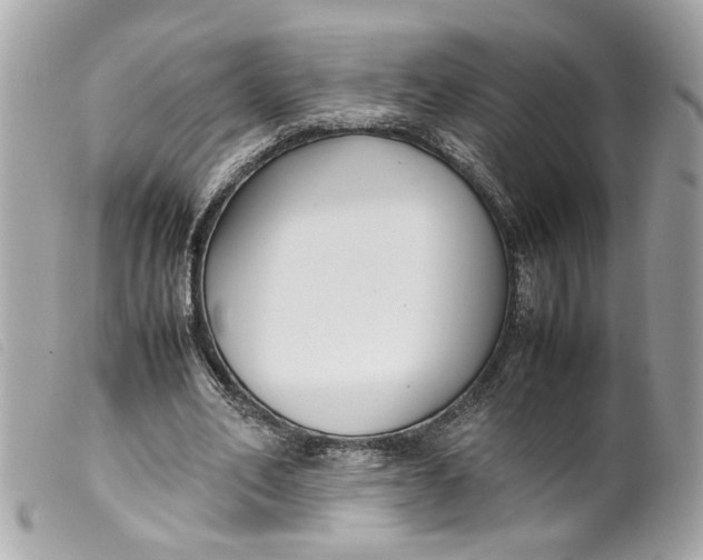 X0000099550582200805301522