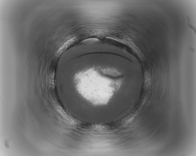 X0000099550585200805301522