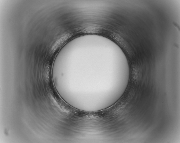 X0000099550586200805301522