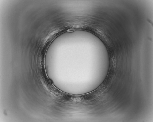 X0000099550587200805301522