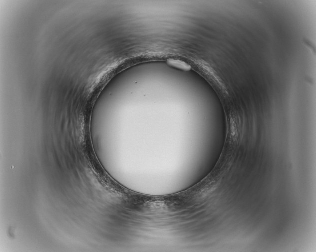 X0000099550588200805301522