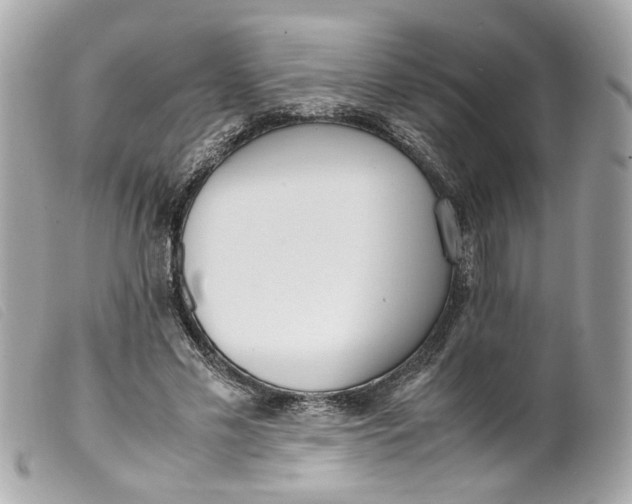 X0000099550589200805301522