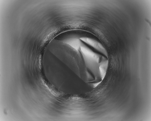 X0000099550590200805301522