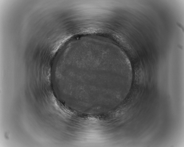 X0000099550592200805301522