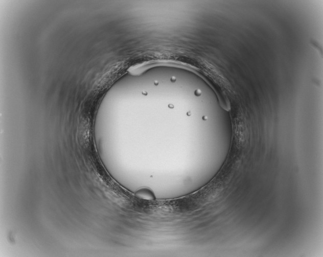 X0000099550593200805301522