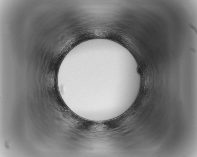 X0000099550595200805301522