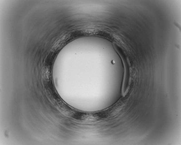 X0000099550597200805301522