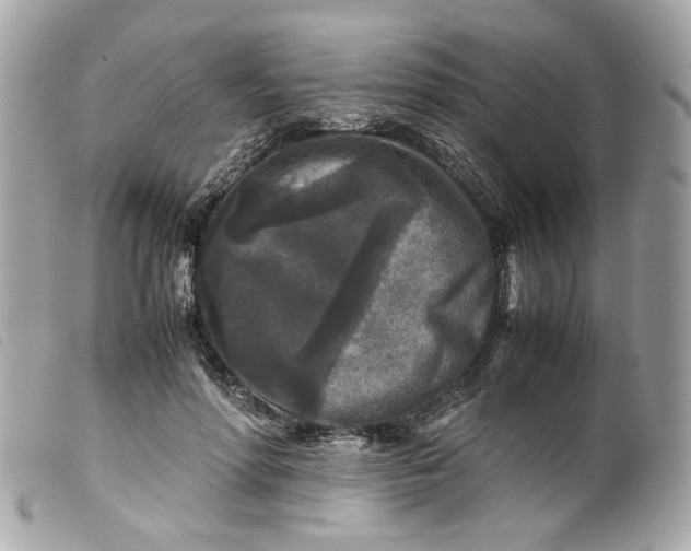 X0000099550598200805301522