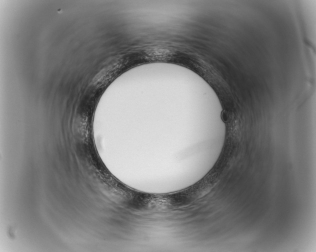 X0000099550599200805301522