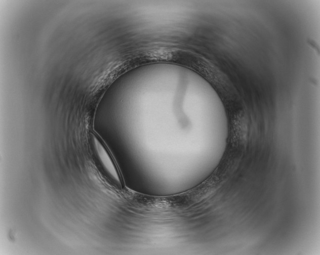 X0000099550600200805301522