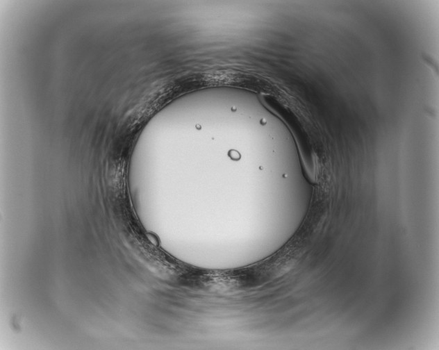 X0000099550601200805301522