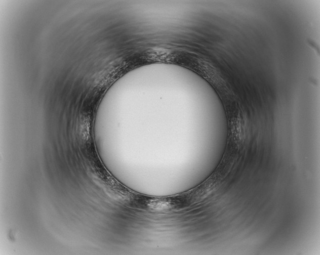 X0000099550602200805301522