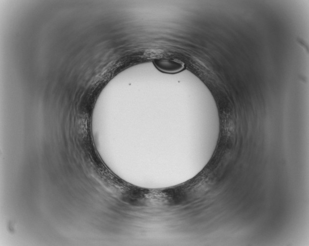 X0000099550603200805301522