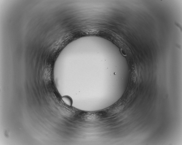 X0000099550604200805301522