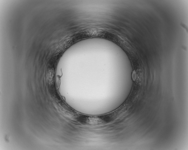 X0000099550605200805301522