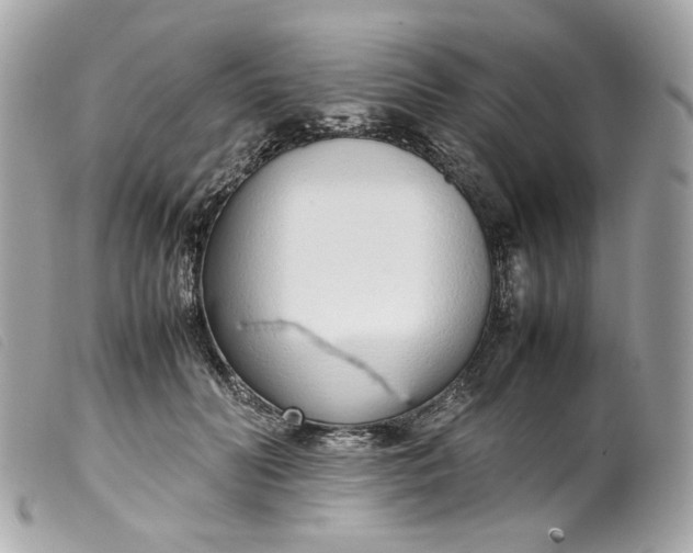 X0000099550606200805301522