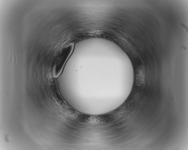 X0000099550608200805301522