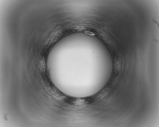 X0000099550609200805301522