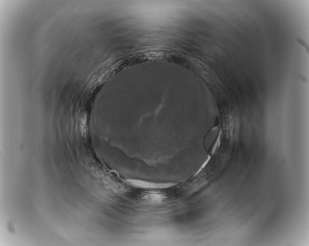 X0000099550610200805301522