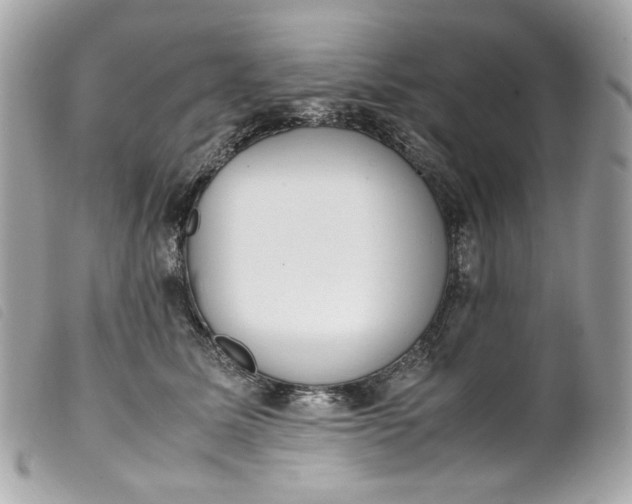 X0000099550611200805301522