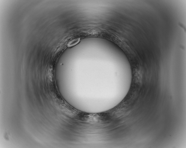 X0000099550612200805301522