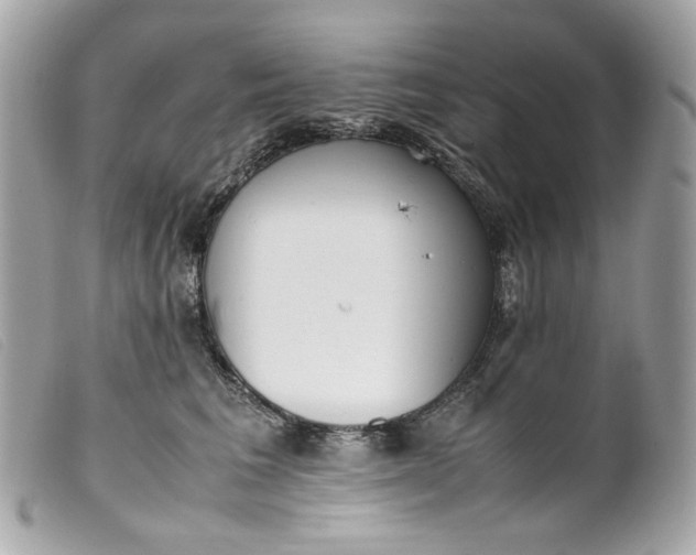 X0000099550613200805301522