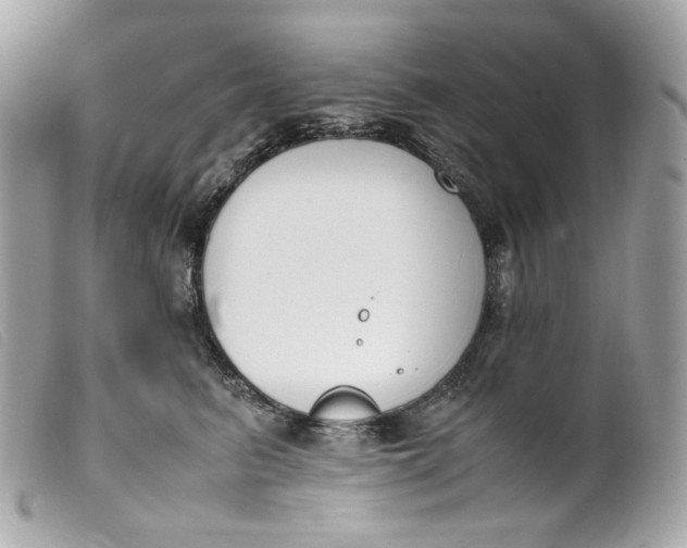 X0000099550615200805301522