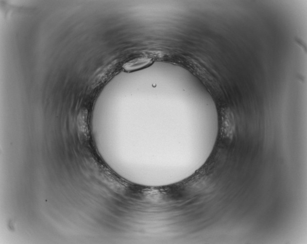 X0000099550616200805301522