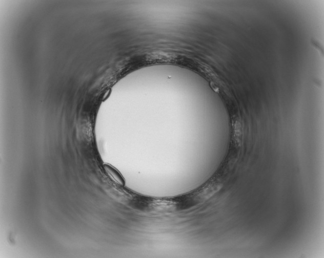 X0000099550617200805301522