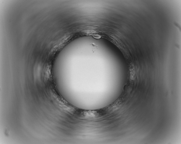 X0000099550618200805301522