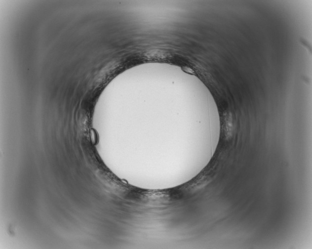 X0000099550619200805301522