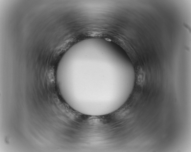 X0000099550620200805301522