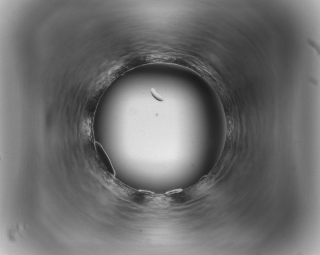 X0000099550621200805301522