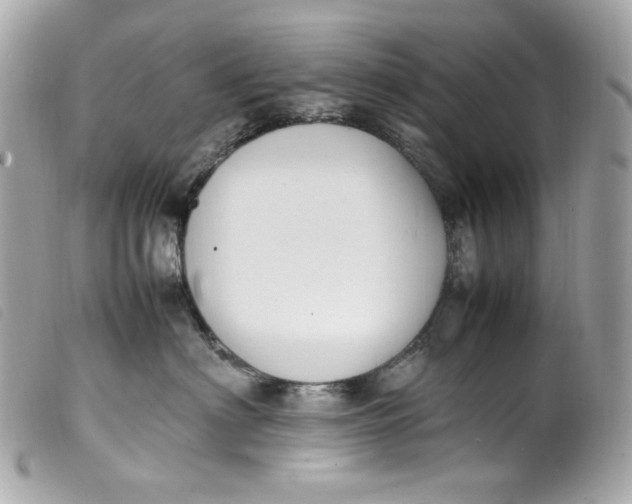 X0000099550622200805301522