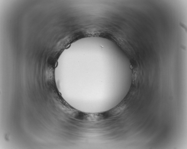 X0000099550623200805301522