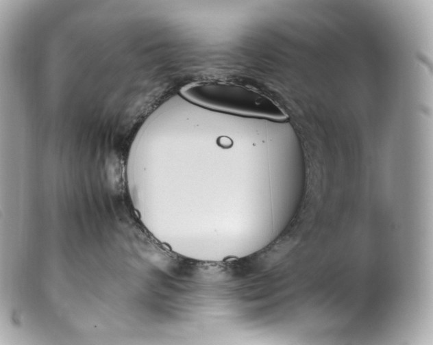 X0000099550624200805301522