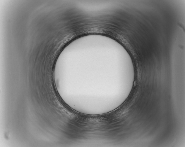 X0000099550625200805301521