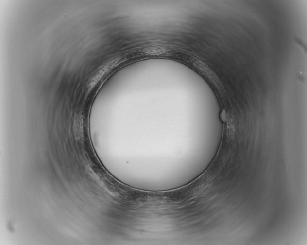 X0000099550626200805301521