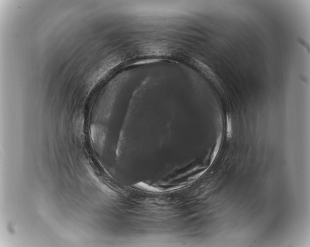 X0000099550627200805301521