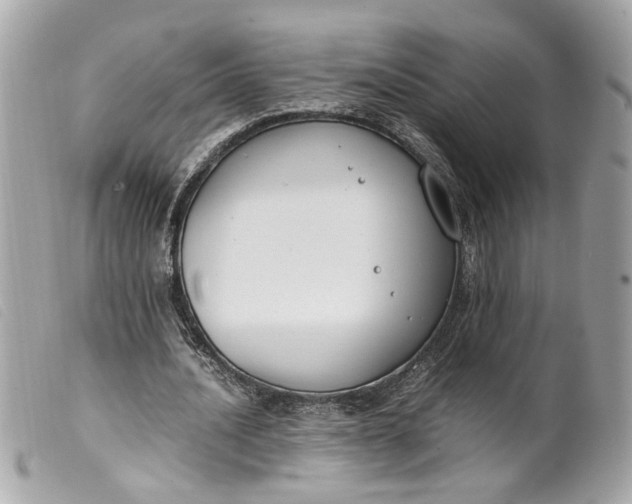 X0000099550628200805301521