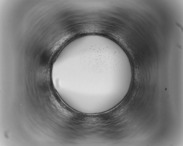 X0000099550629200805301521