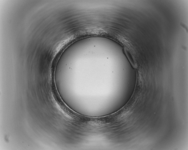 X0000099550630200805301521