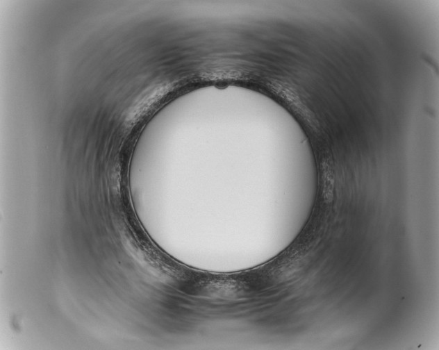 X0000099550631200805301521