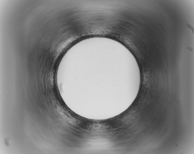 X0000099550632200805301521