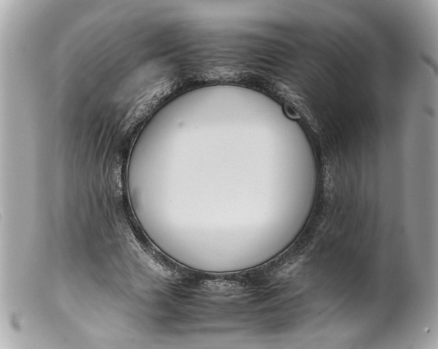 X0000099550633200805301521