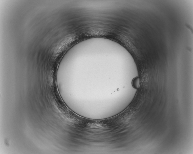 X0000099550635200805301521