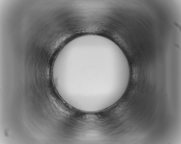 X0000099550636200805301521