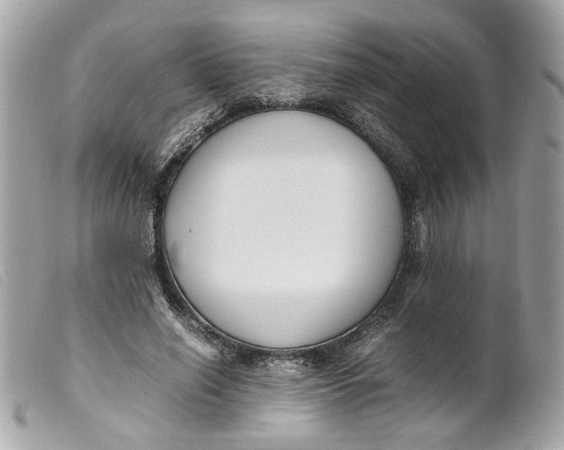 X0000099550638200805301521