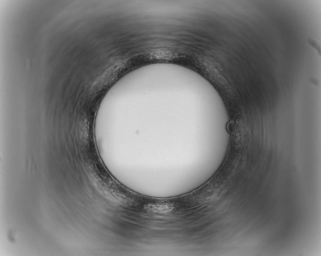 X0000099550639200805301521